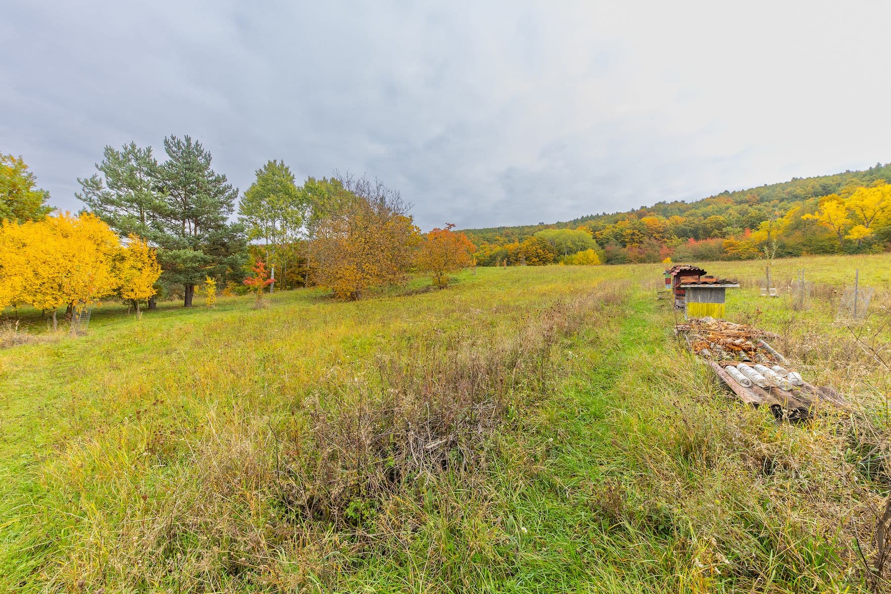 plot for sale, 5,229 m², Lažany, Jihomoravský Region plot for sale, 5,229 m², Lažany, Jihomoravský Region