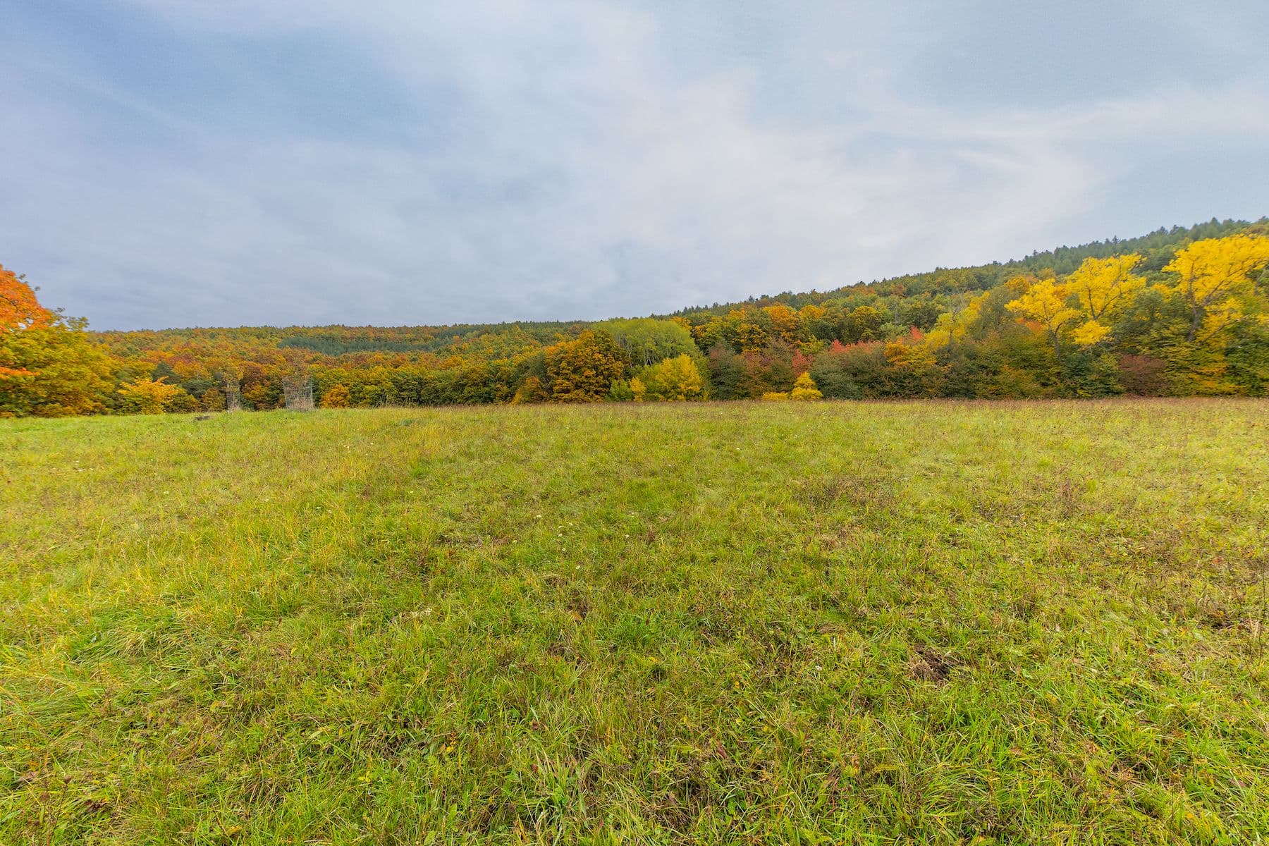 plot for sale, 5,229 m², Lažany, Jihomoravský Region plot for sale, 5,229 m², Lažany, Jihomoravský Region