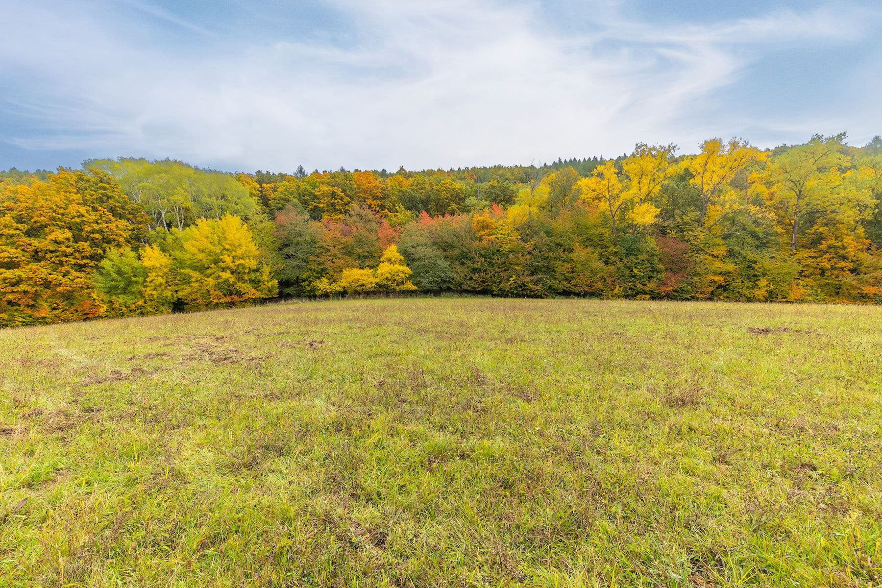 plot for sale, 5,229 m², Lažany, Jihomoravský Region plot for sale, 5,229 m², Lažany, Jihomoravský Region