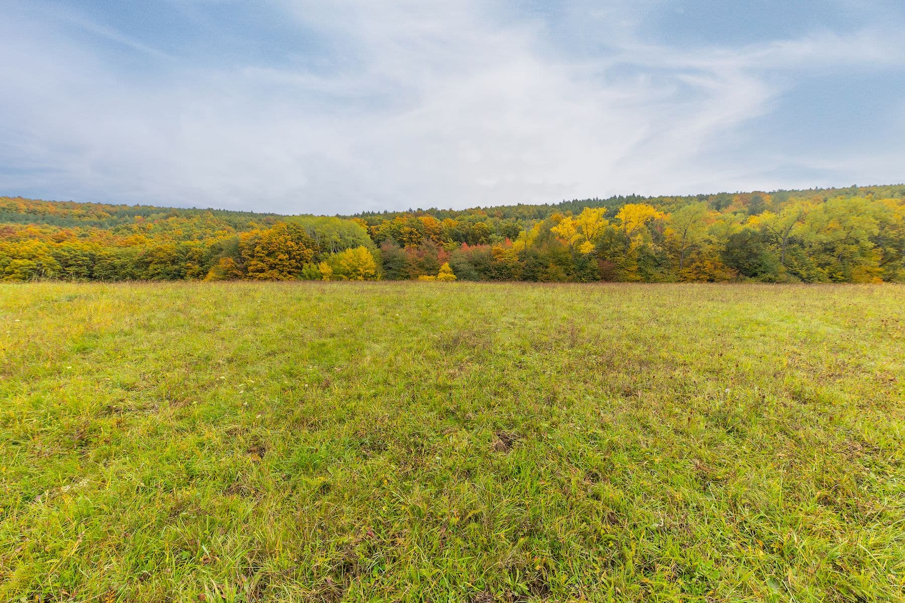 plot for sale, 5,229 m², Lažany, Jihomoravský Region plot for sale, 5,229 m², Lažany, Jihomoravský Region