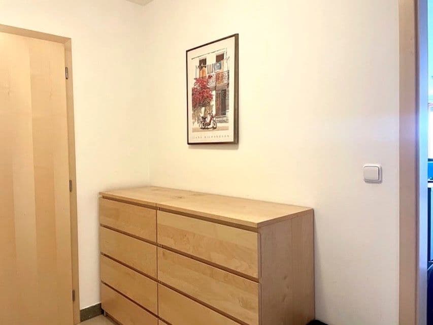 1 bedroom with open-plan kitchen flat to rent, 79 m², Třeboňská, Prague, Prague 1 bedroom with open-plan kitchen flat to rent, 79 m², Třeboňská, Prague, Prague