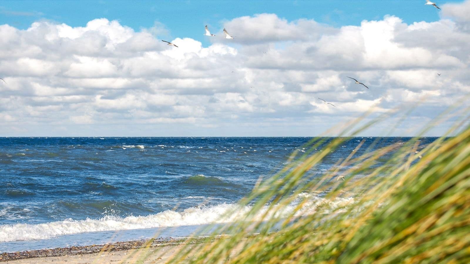 3 bedroom flat for sale, 83 m², Rerik, Mecklenburg-Vorpommern 3 bedroom flat for sale, 83 m², Rerik, Mecklenburg-Vorpommern