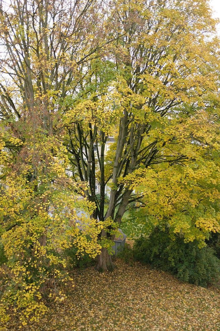 3 bedroom flat for sale, 71 m², Herkulesstraße, Kassel, Hesse 3 bedroom flat for sale, 71 m², Herkulesstraße, Kassel, Hesse