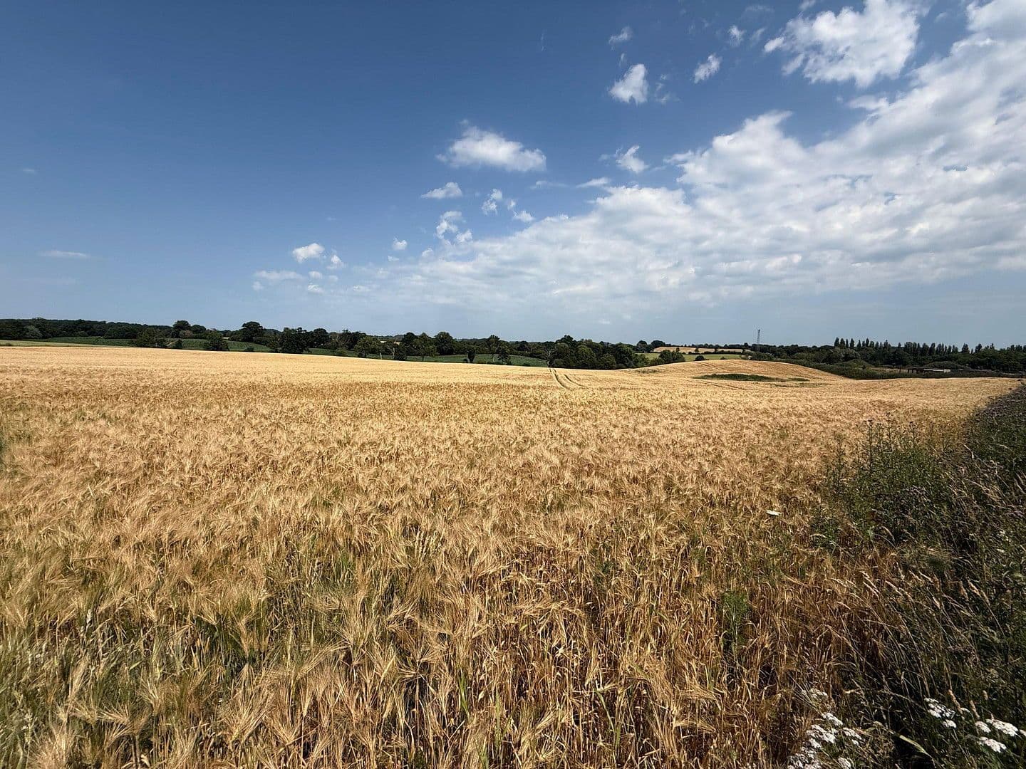 house for sale, 141 m², Ascheberg, Schleswig-Holstein house for sale, 141 m², Ascheberg, Schleswig-Holstein