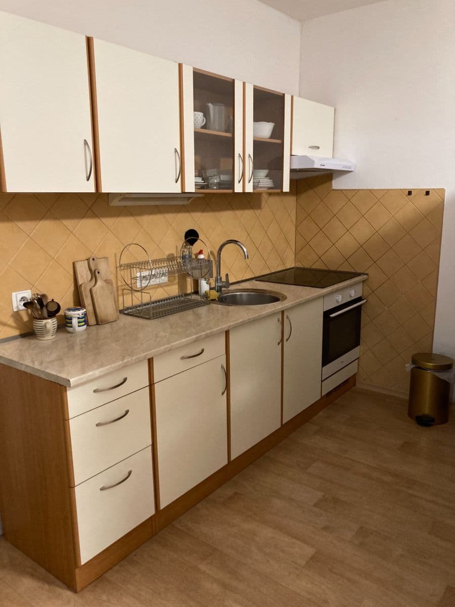 1 bedroom with open-plan kitchen flat to rent, 47 m², třída Edvarda Beneše, Hradec Králové, Královéhradecký Region 1 bedroom with open-plan kitchen flat to rent, 47 m², třída Edvarda Beneše, Hradec Králové, Královéhradecký Region