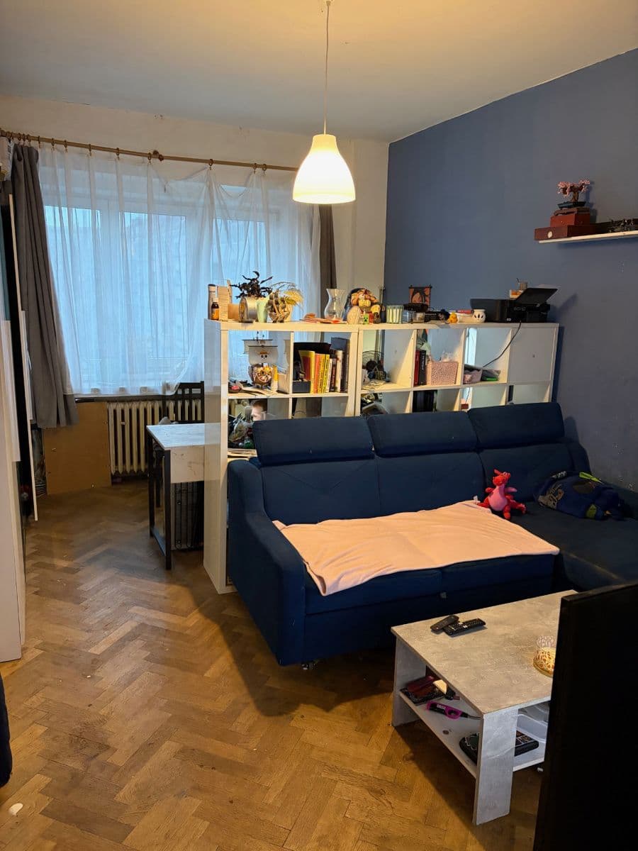 1 bedroom with open-plan kitchen flat to rent, 50 m², Prachnerova, Prague, Prague 1 bedroom with open-plan kitchen flat to rent, 50 m², Prachnerova, Prague, Prague