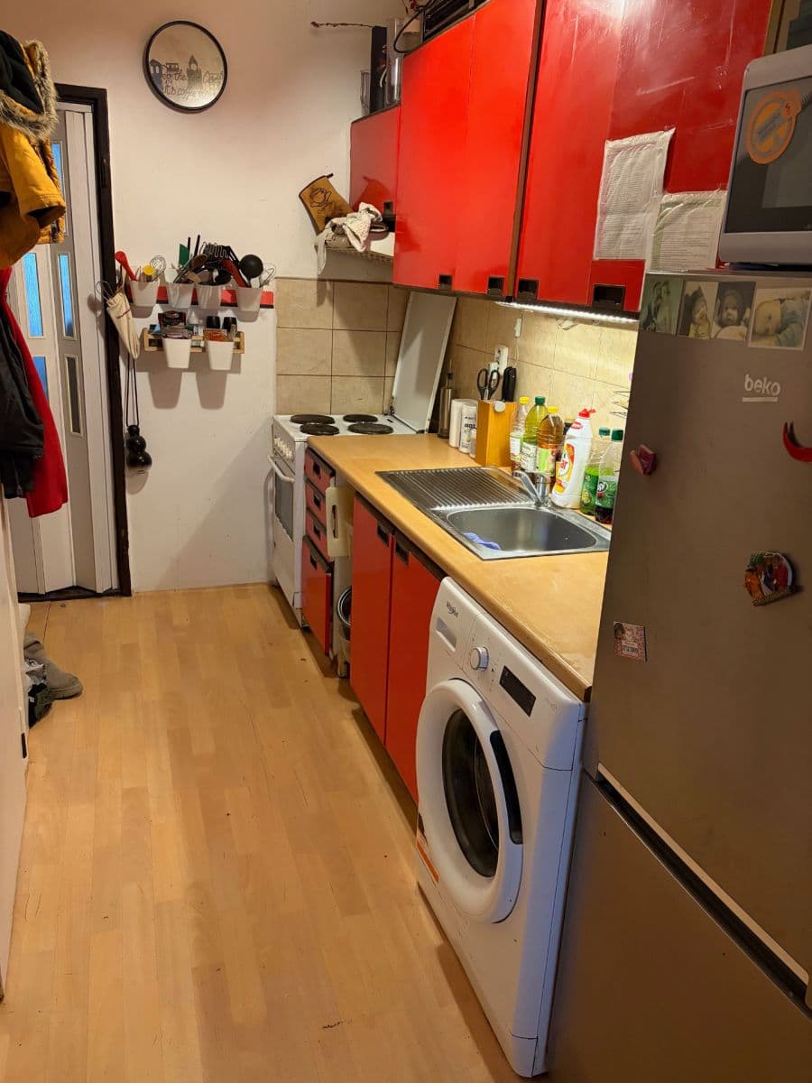 1 bedroom with open-plan kitchen flat to rent, 50 m², Prachnerova, Prague, Prague 1 bedroom with open-plan kitchen flat to rent, 50 m², Prachnerova, Prague, Prague