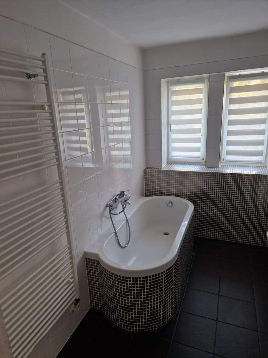 1 bedroom with open-plan kitchen flat to rent, 52 m², Třída Míru, Beroun, Středočeský Region 1 bedroom with open-plan kitchen flat to rent, 52 m², Třída Míru, Beroun, Středočeský Region