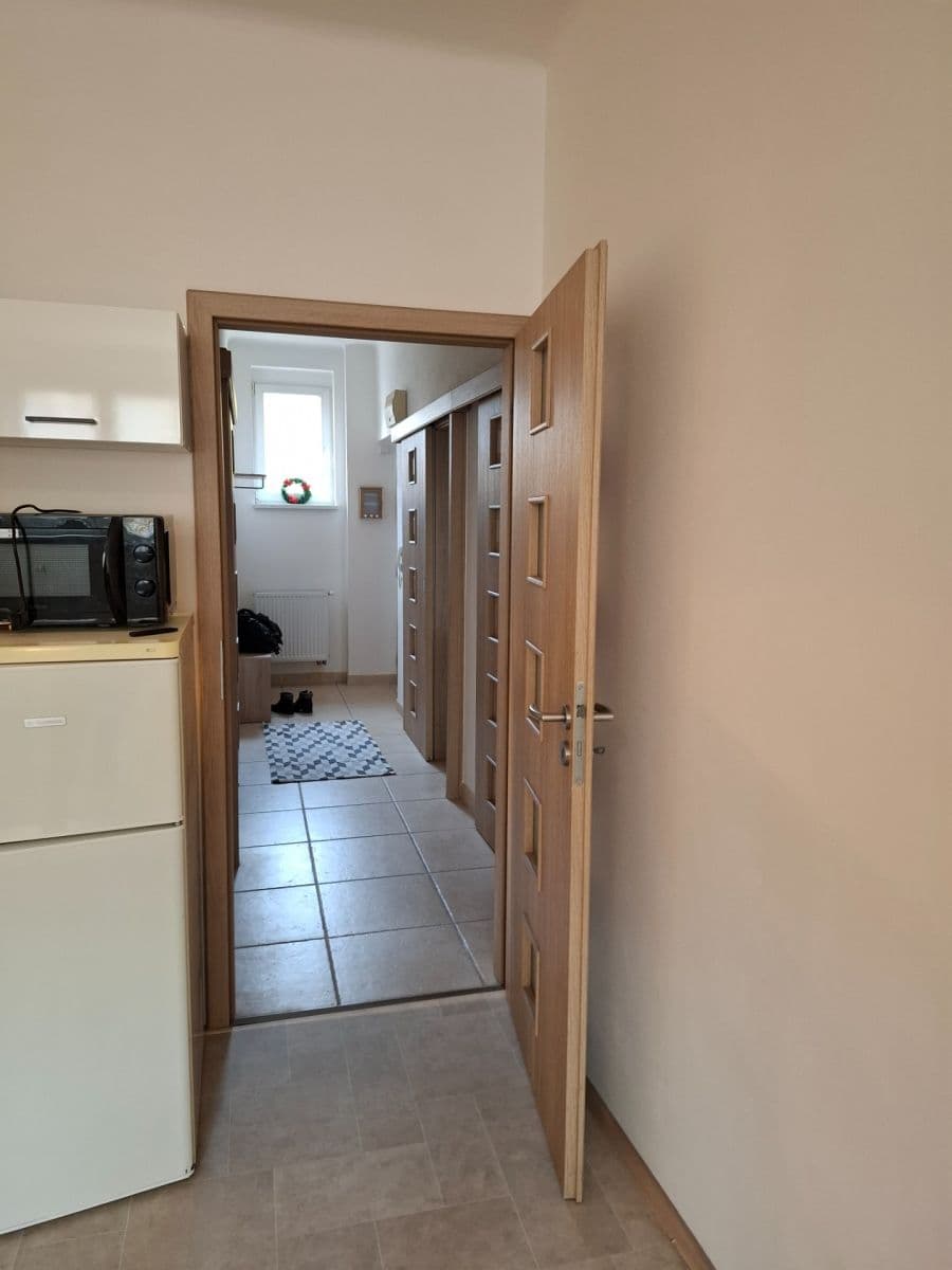 1 bedroom with open-plan kitchen flat to rent, 53 m², Za Zelenou Liškou, Prague, Prague 1 bedroom with open-plan kitchen flat to rent, 53 m², Za Zelenou Liškou, Prague, Prague