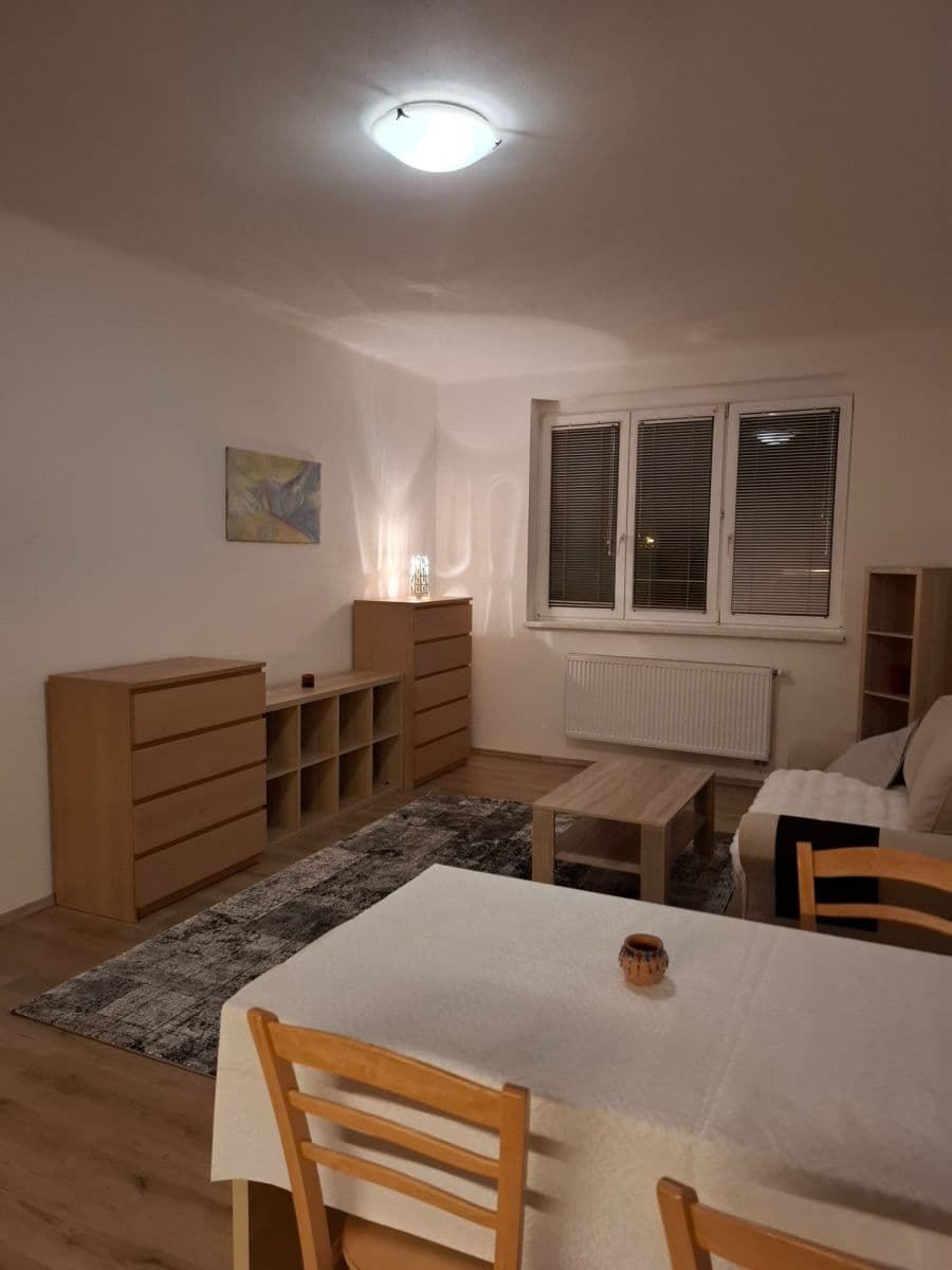 1 bedroom with open-plan kitchen flat to rent, 53 m², Za Zelenou Liškou, Prague, Prague 1 bedroom with open-plan kitchen flat to rent, 53 m², Za Zelenou Liškou, Prague, Prague