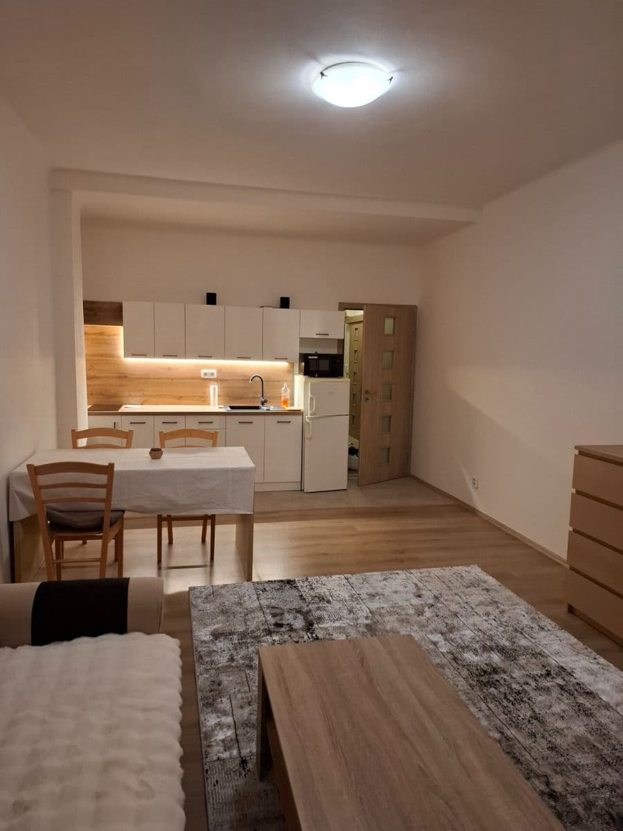 1 bedroom with open-plan kitchen flat to rent, 53 m², Za Zelenou Liškou, Prague, Prague 1 bedroom with open-plan kitchen flat to rent, 53 m², Za Zelenou Liškou, Prague, Prague