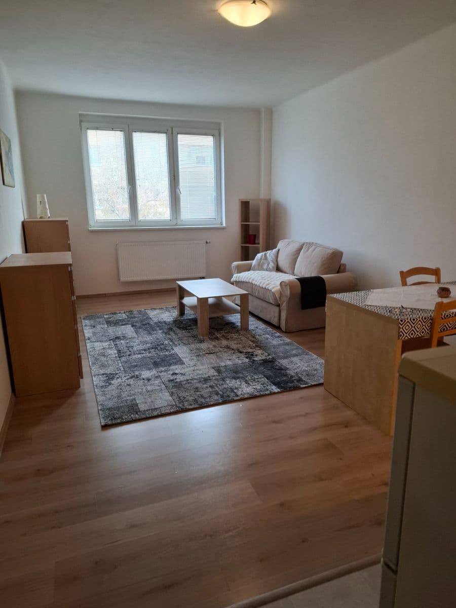 1 bedroom with open-plan kitchen flat to rent, 53 m², Za Zelenou Liškou, Prague, Prague 1 bedroom with open-plan kitchen flat to rent, 53 m², Za Zelenou Liškou, Prague, Prague