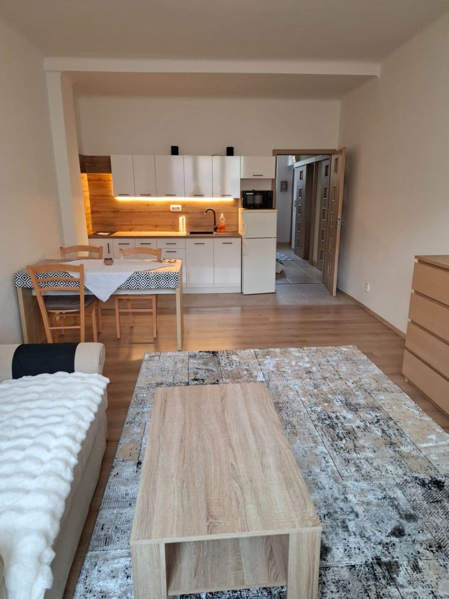 1 bedroom with open-plan kitchen flat to rent, 53 m², Za Zelenou Liškou, Prague, Prague 1 bedroom with open-plan kitchen flat to rent, 53 m², Za Zelenou Liškou, Prague, Prague