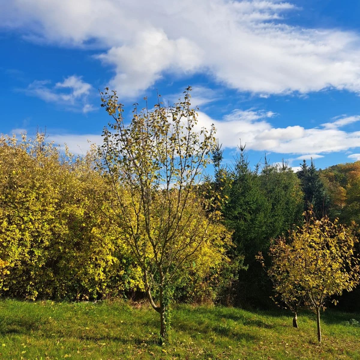 plot for sale, 1,904 m², Svinaře, Středočeský Region plot for sale, 1,904 m², Svinaře, Středočeský Region