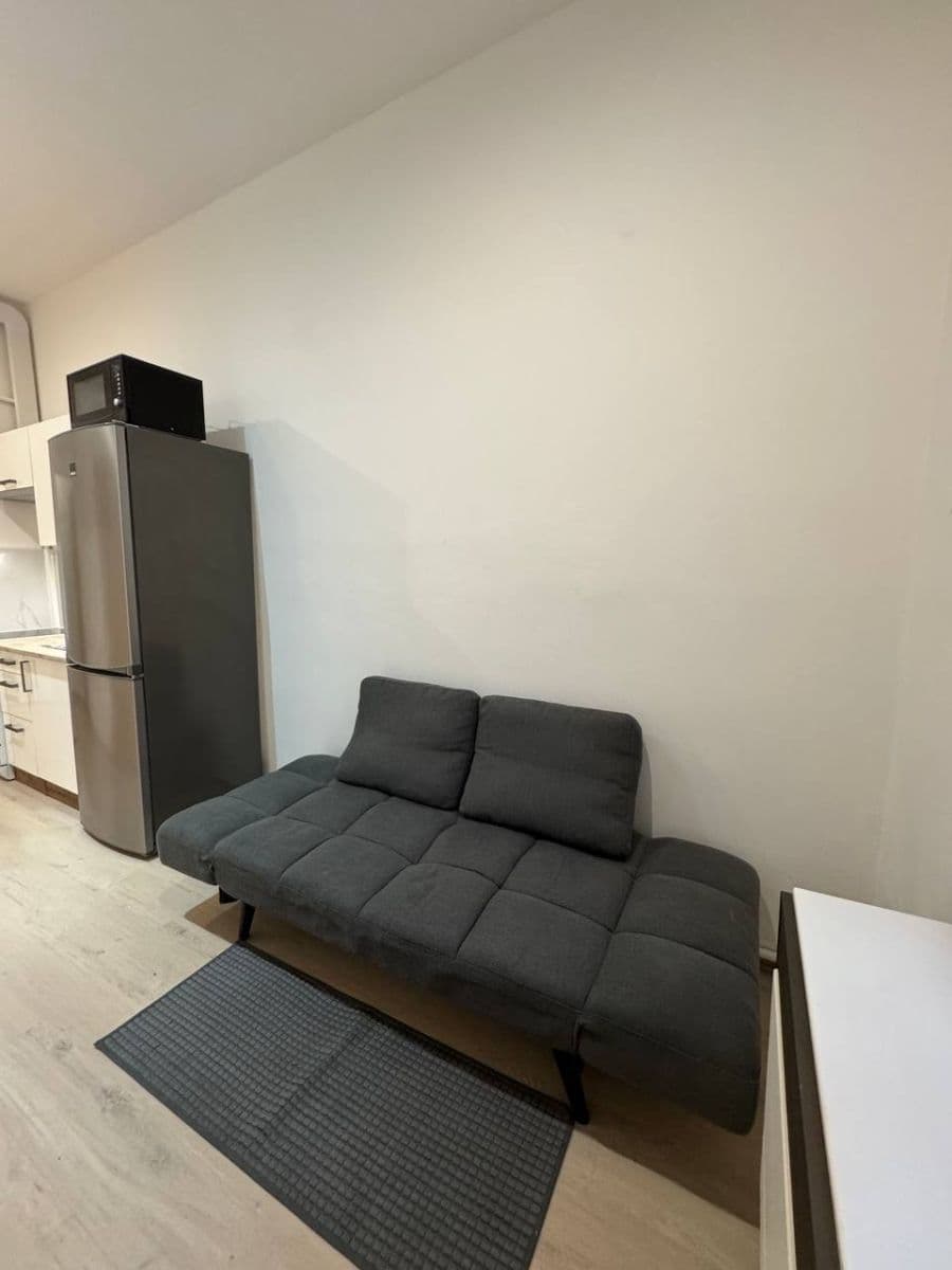 1 bedroom with open-plan kitchen flat to rent, 45 m², Jandova, Prague, Prague 1 bedroom with open-plan kitchen flat to rent, 45 m², Jandova, Prague, Prague