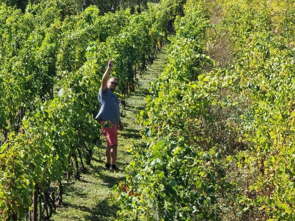 recreational property for sale, 2,500 m², Nána, Nitriansky Region recreational property for sale, 2,500 m², Nána, Nitriansky Region