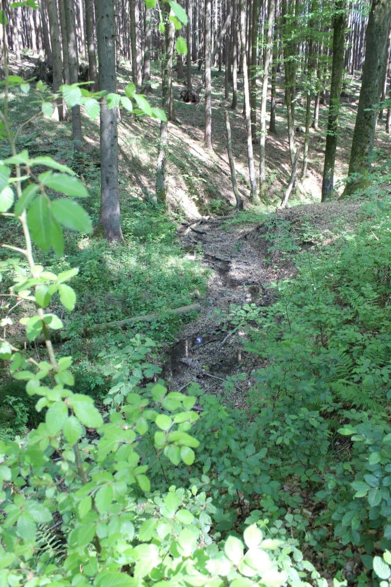 plot for sale, 32,570 m², Bojkovice, Zlínský Region plot for sale, 32,570 m², Bojkovice, Zlínský Region