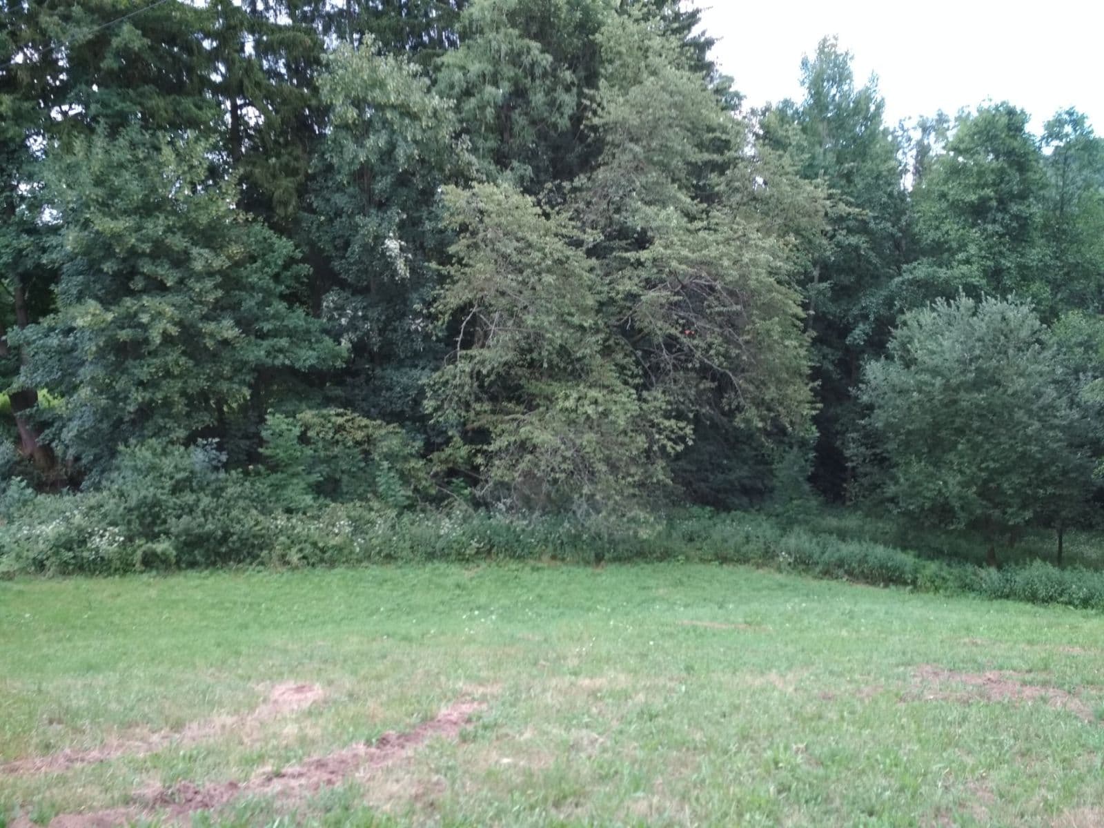 plot for sale, 4,183 m², Benešov u Semil, Liberecký Region plot for sale, 4,183 m², Benešov u Semil, Liberecký Region