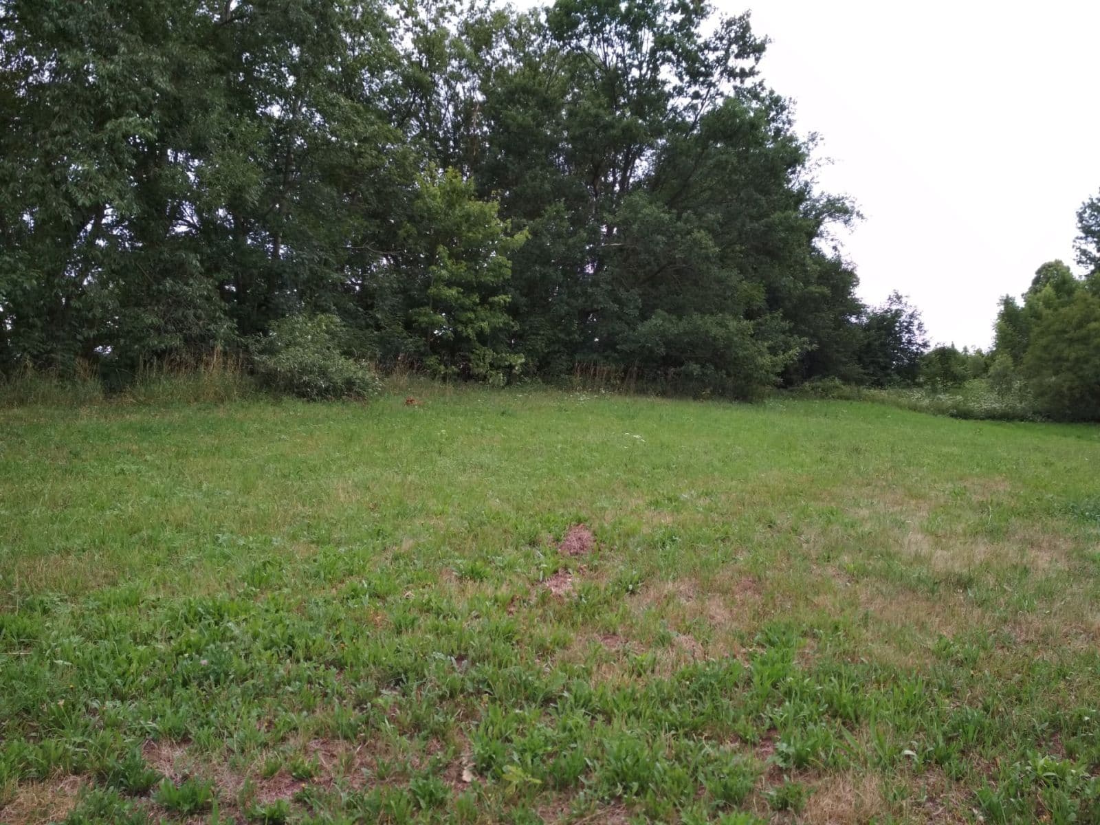 plot for sale, 4,183 m², Benešov u Semil, Liberecký Region plot for sale, 4,183 m², Benešov u Semil, Liberecký Region