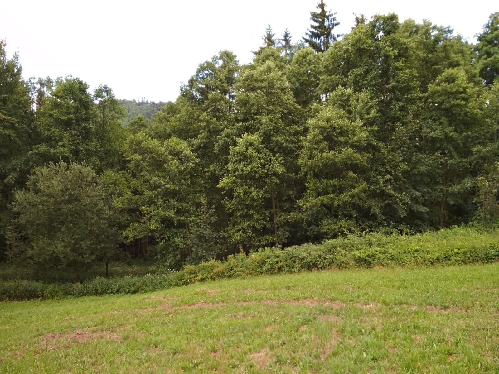 plot for sale, 4,183 m², Benešov u Semil, Liberecký Region plot for sale, 4,183 m², Benešov u Semil, Liberecký Region