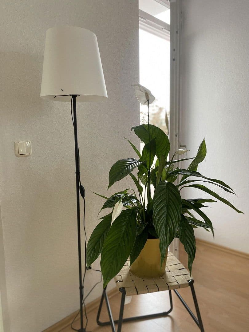 1 bedroom flat to rent, 37 m², Berlepschstraße, Berlin, Berlin 1 bedroom flat to rent, 37 m², Berlepschstraße, Berlin, Berlin