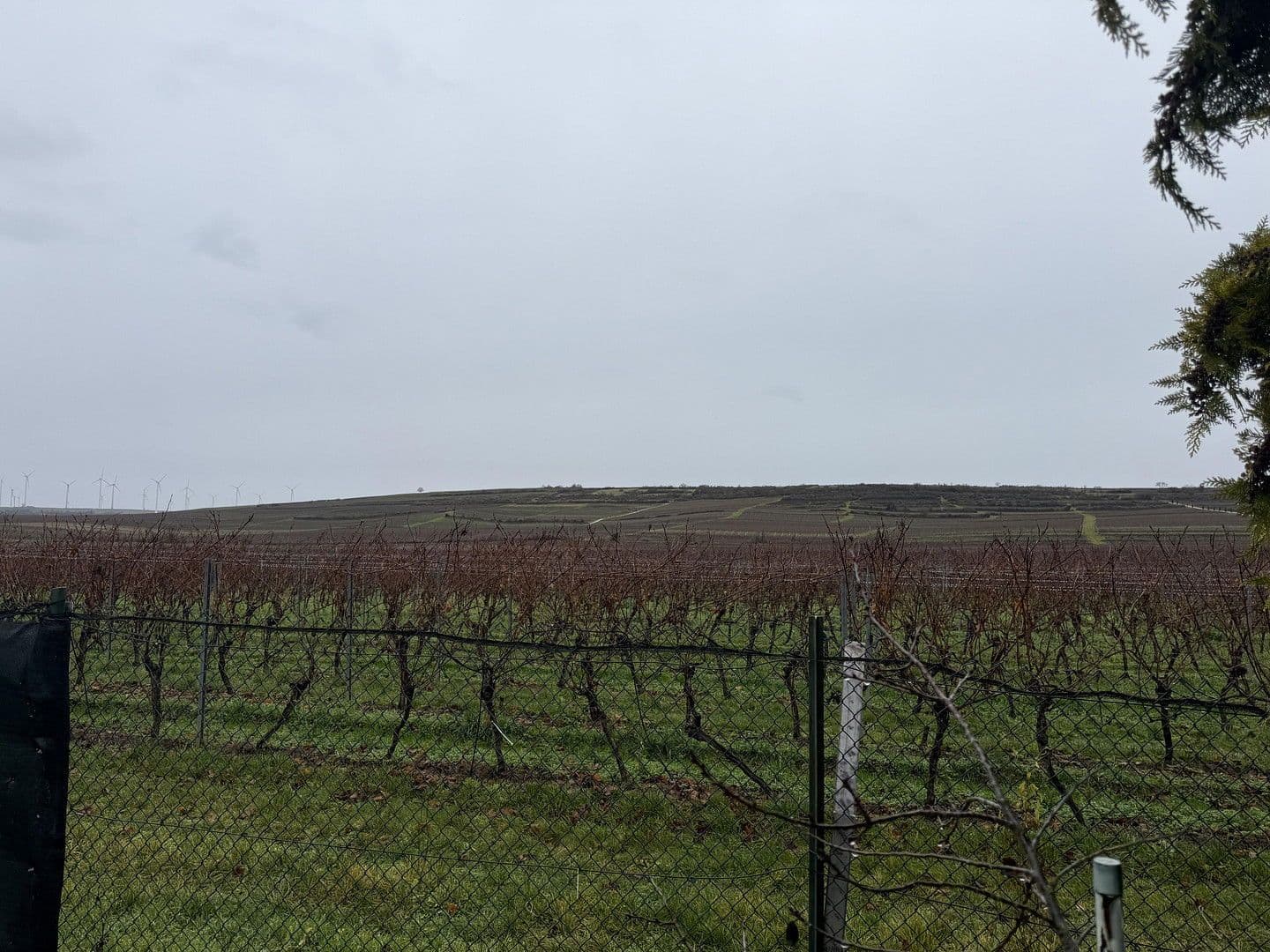 3 bedroom flat to rent, 90 m², Alzeyerstraße 108, Flörsheim-Dalsheim, Rhineland-Palatinate 3 bedroom flat to rent, 90 m², Alzeyerstraße 108, Flörsheim-Dalsheim, Rhineland-Palatinate