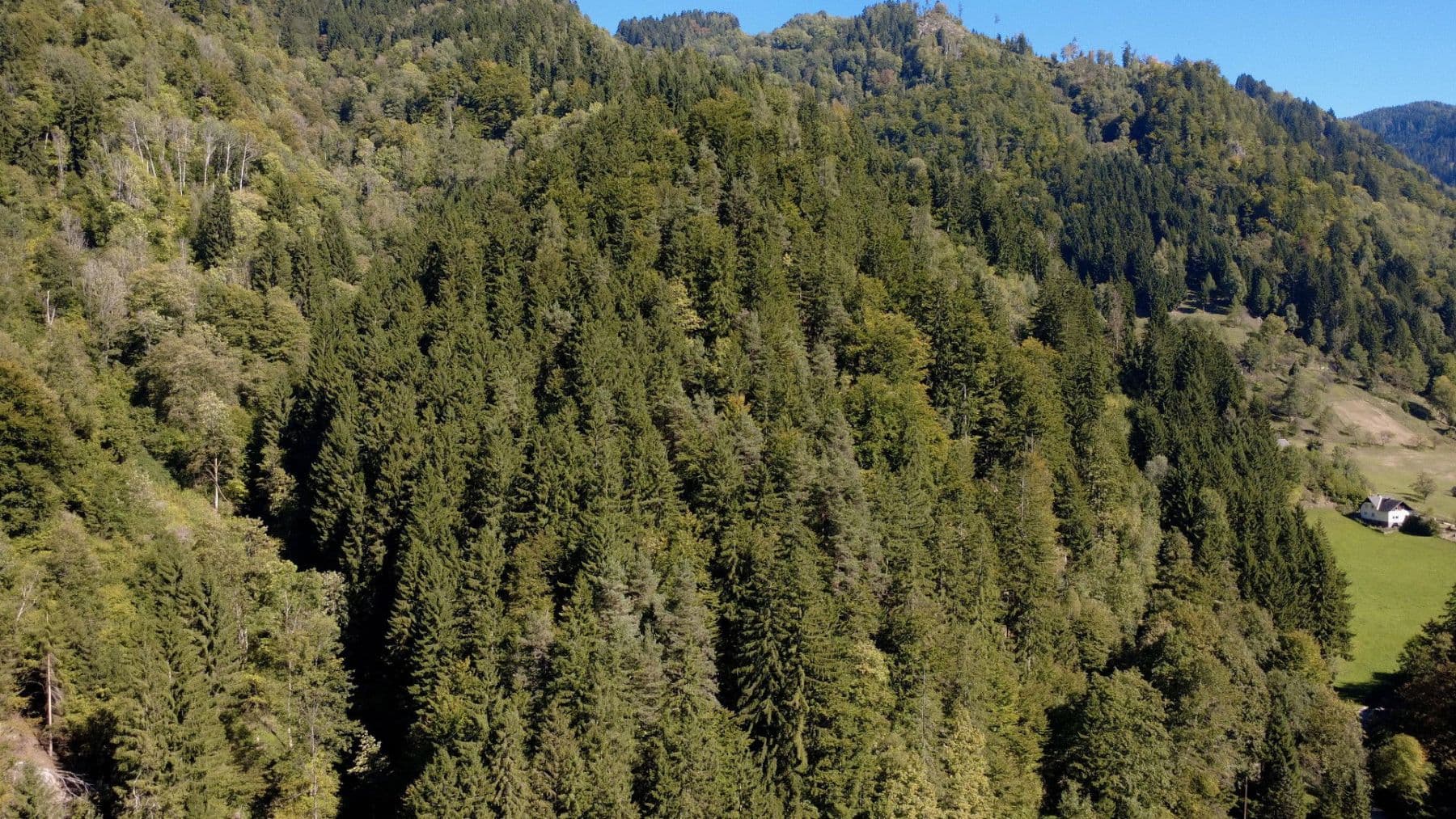 house for sale, 120 m², Prössinggraben 14, St. Gertraud, Carinthia house for sale, 120 m², Prössinggraben 14, St. Gertraud, Carinthia