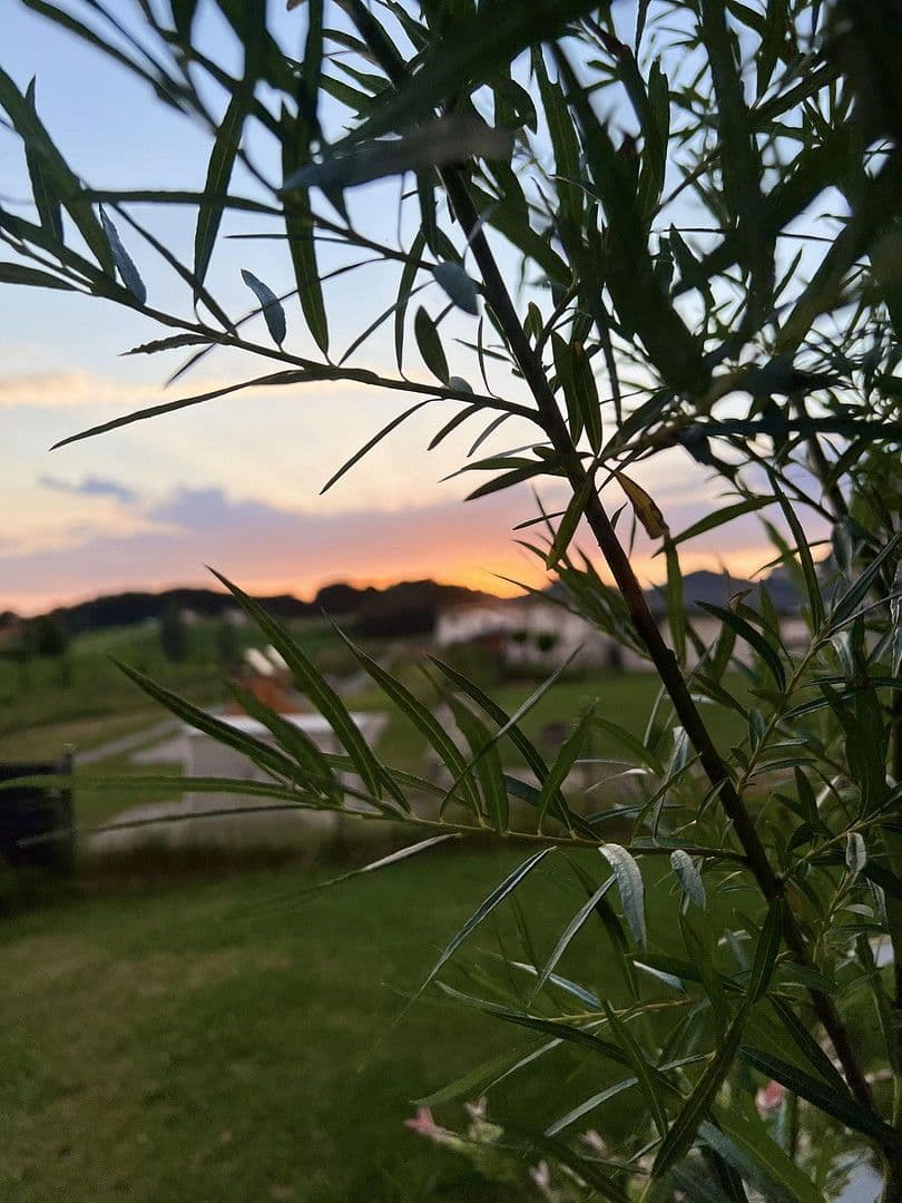 house for sale, 152 m², Fürstenstein, Bavaria house for sale, 152 m², Fürstenstein, Bavaria