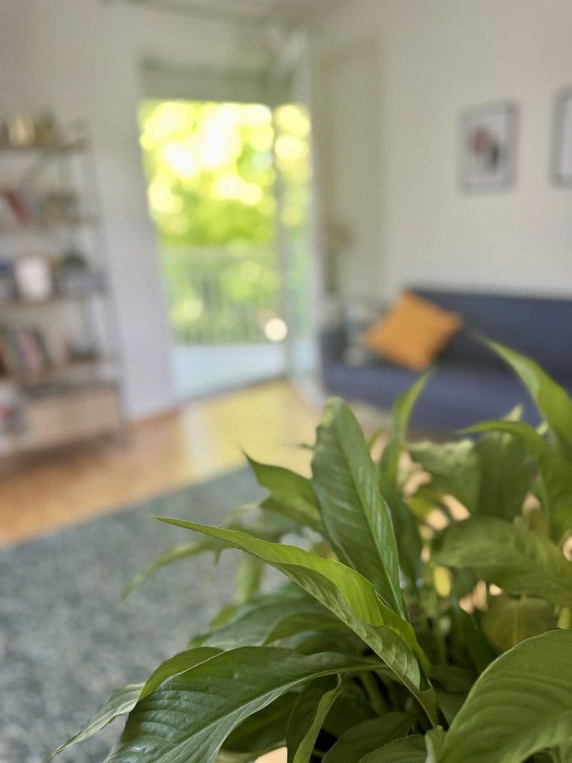 house for sale, 231 m², Fallmerayerweg 79, Wien, Vienna house for sale, 231 m², Fallmerayerweg 79, Wien, Vienna