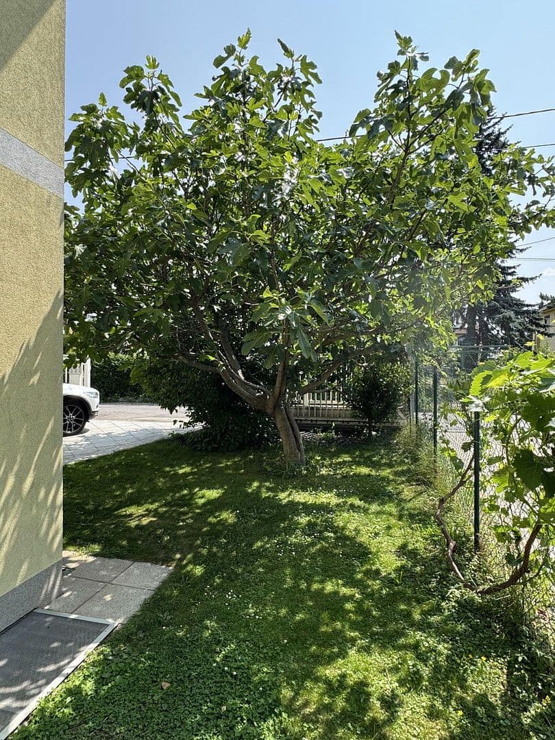 house for sale, 231 m², Fallmerayerweg 79, Wien, Vienna house for sale, 231 m², Fallmerayerweg 79, Wien, Vienna