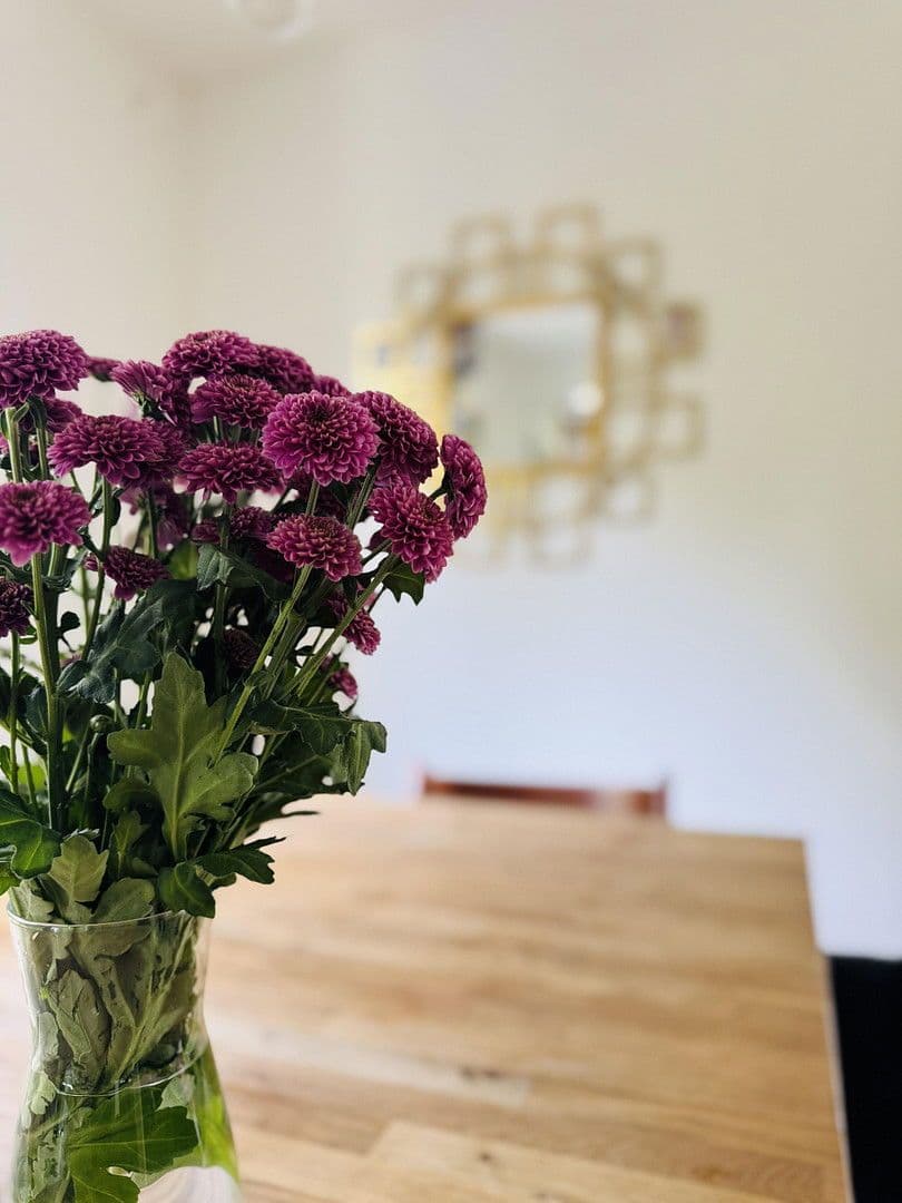 house for sale, 231 m², Fallmerayerweg 79, Wien, Vienna house for sale, 231 m², Fallmerayerweg 79, Wien, Vienna