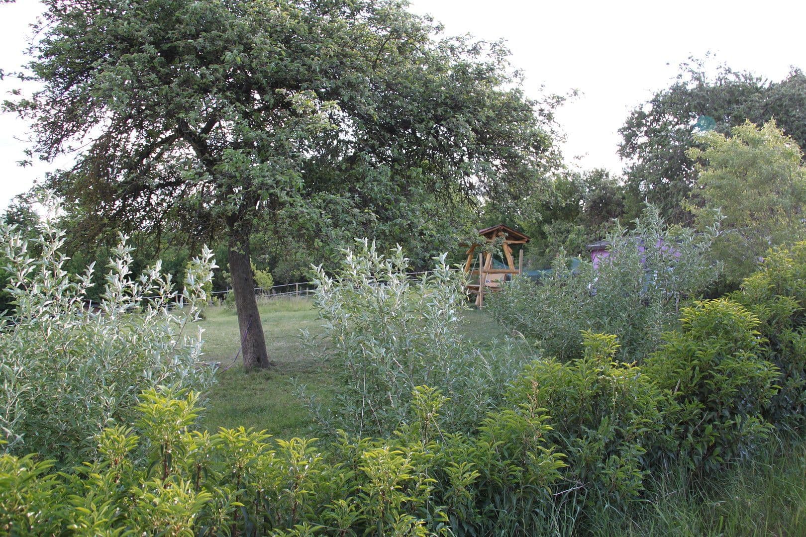 house for sale, 250 m², Brauweiler, Rhineland-Palatinate house for sale, 250 m², Brauweiler, Rhineland-Palatinate