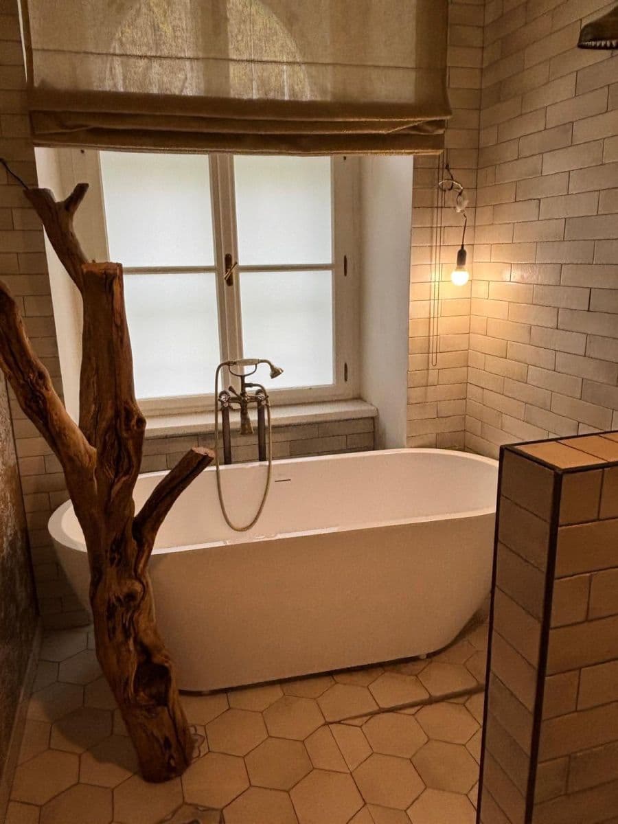 1 bedroom with open-plan kitchen flat to rent, 68 m², Peckova, Prague, Prague 1 bedroom with open-plan kitchen flat to rent, 68 m², Peckova, Prague, Prague