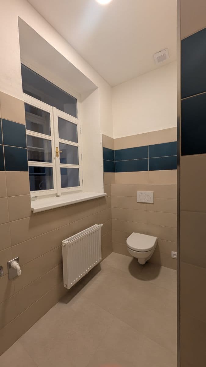 1 bedroom flat to rent, 68 m², Vodičkova, Prague, Prague 1 bedroom flat to rent, 68 m², Vodičkova, Prague, Prague