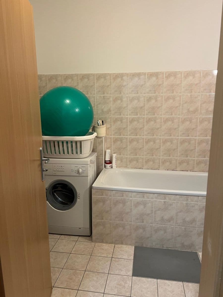 1 bedroom with open-plan kitchen flat to rent, 68 m², Jeřabinová, Prague, Prague 1 bedroom with open-plan kitchen flat to rent, 68 m², Jeřabinová, Prague, Prague