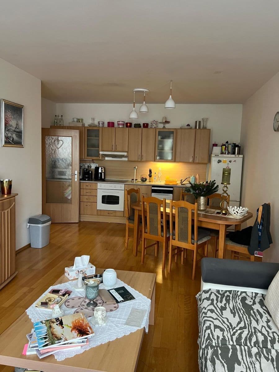 1 bedroom with open-plan kitchen flat to rent, 68 m², Jeřabinová, Prague, Prague 1 bedroom with open-plan kitchen flat to rent, 68 m², Jeřabinová, Prague, Prague