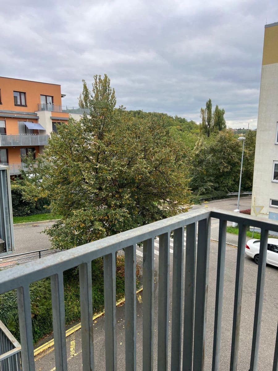 1 bedroom with open-plan kitchen flat to rent, 68 m², Jeřabinová, Prague, Prague 1 bedroom with open-plan kitchen flat to rent, 68 m², Jeřabinová, Prague, Prague