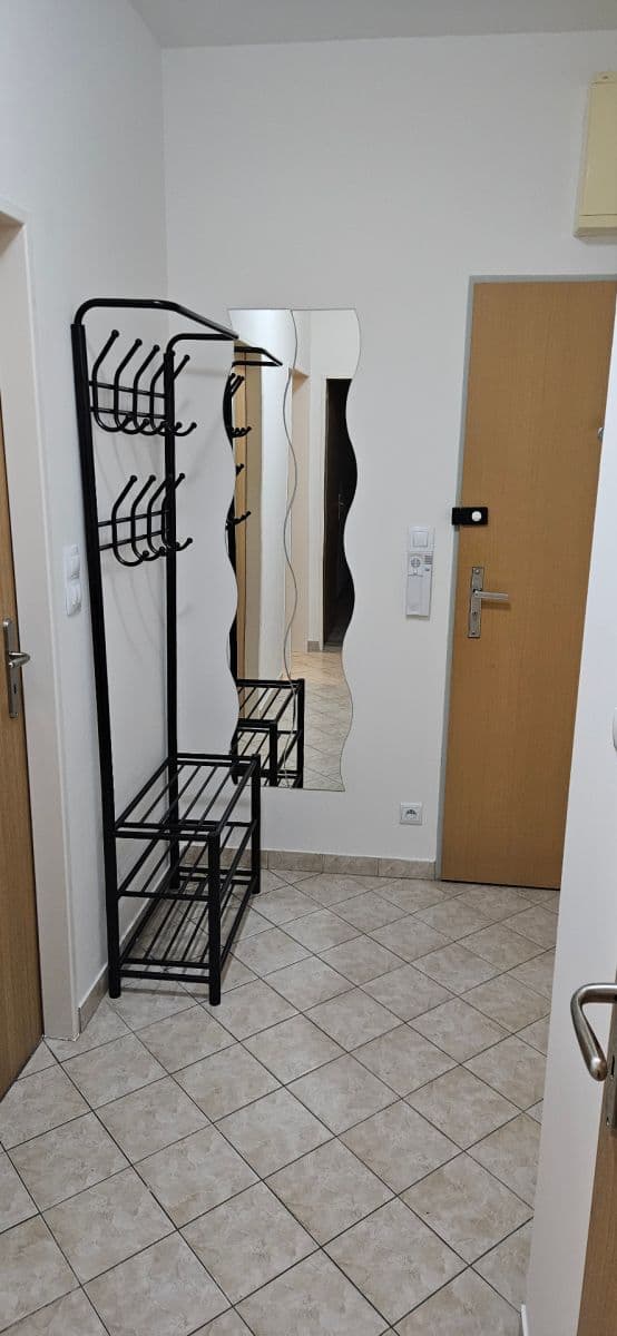 1 bedroom with open-plan kitchen flat to rent, 48 m², Pod Harfou, Prague, Prague 1 bedroom with open-plan kitchen flat to rent, 48 m², Pod Harfou, Prague, Prague