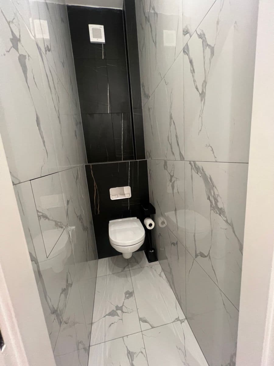 1 bedroom with open-plan kitchen flat to rent, 68 m², Peckova, Prague, Prague 1 bedroom with open-plan kitchen flat to rent, 68 m², Peckova, Prague, Prague