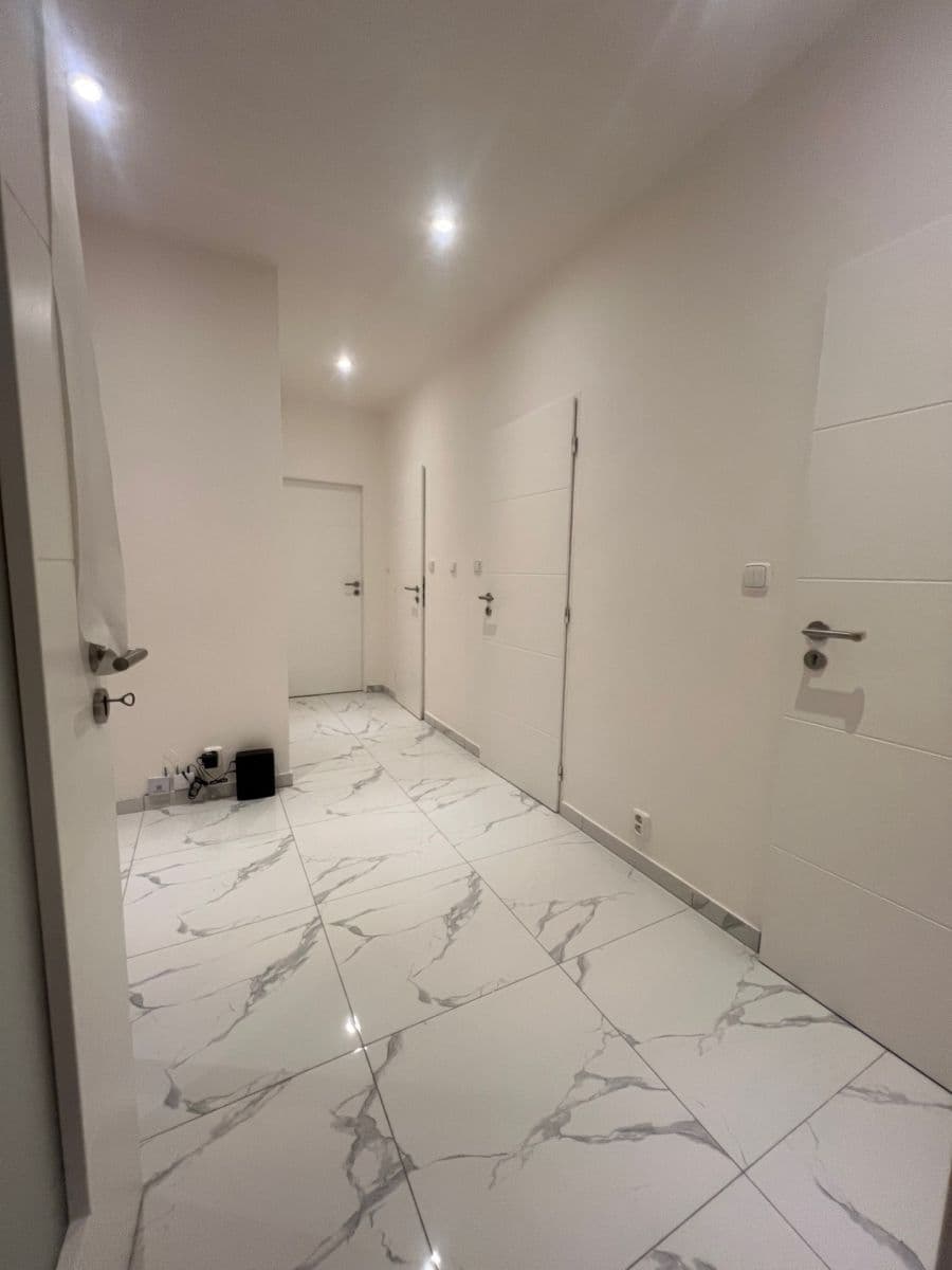 1 bedroom with open-plan kitchen flat to rent, 68 m², Peckova, Prague, Prague 1 bedroom with open-plan kitchen flat to rent, 68 m², Peckova, Prague, Prague