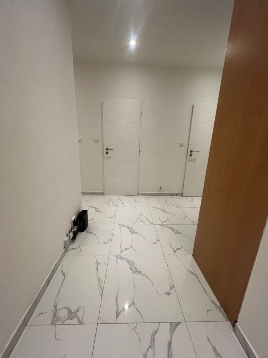 1 bedroom with open-plan kitchen flat to rent, 68 m², Peckova, Prague, Prague 1 bedroom with open-plan kitchen flat to rent, 68 m², Peckova, Prague, Prague