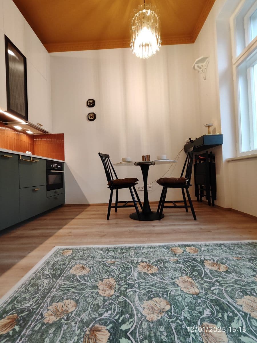 flat to rent, 27 m², Sokolská, Prague, Prague flat to rent, 27 m², Sokolská, Prague, Prague