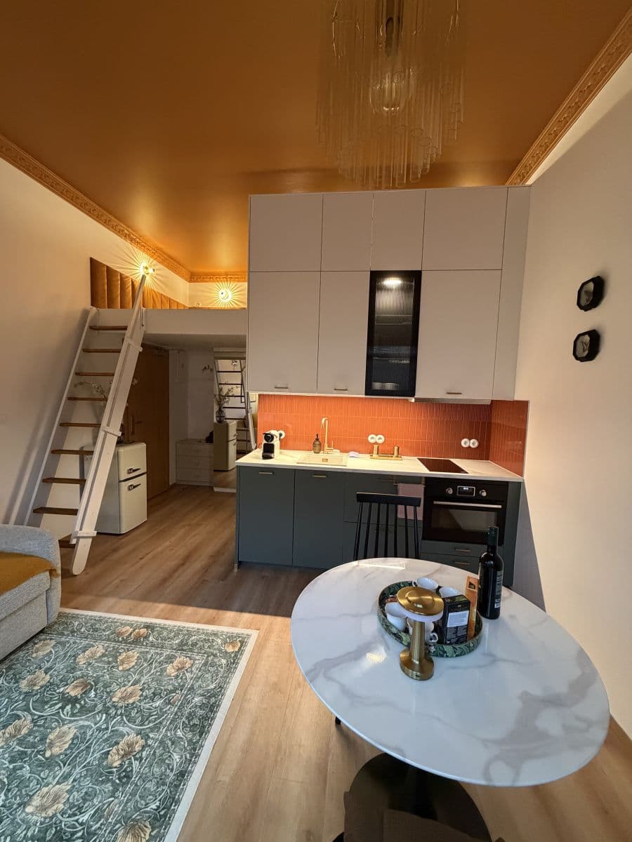 flat to rent, 27 m², Sokolská, Prague, Prague flat to rent, 27 m², Sokolská, Prague, Prague