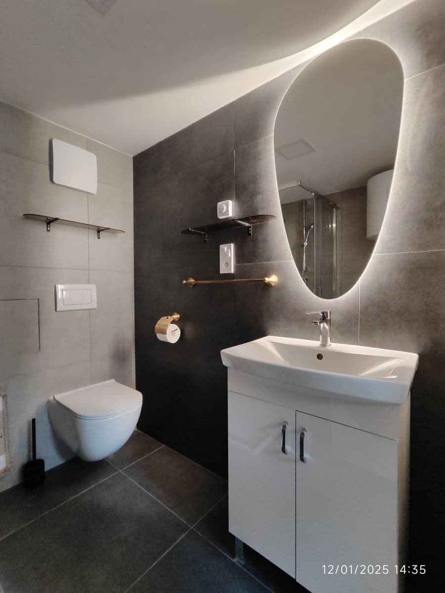 flat to rent, 23 m², Sokolská, Prague, Prague flat to rent, 23 m², Sokolská, Prague, Prague