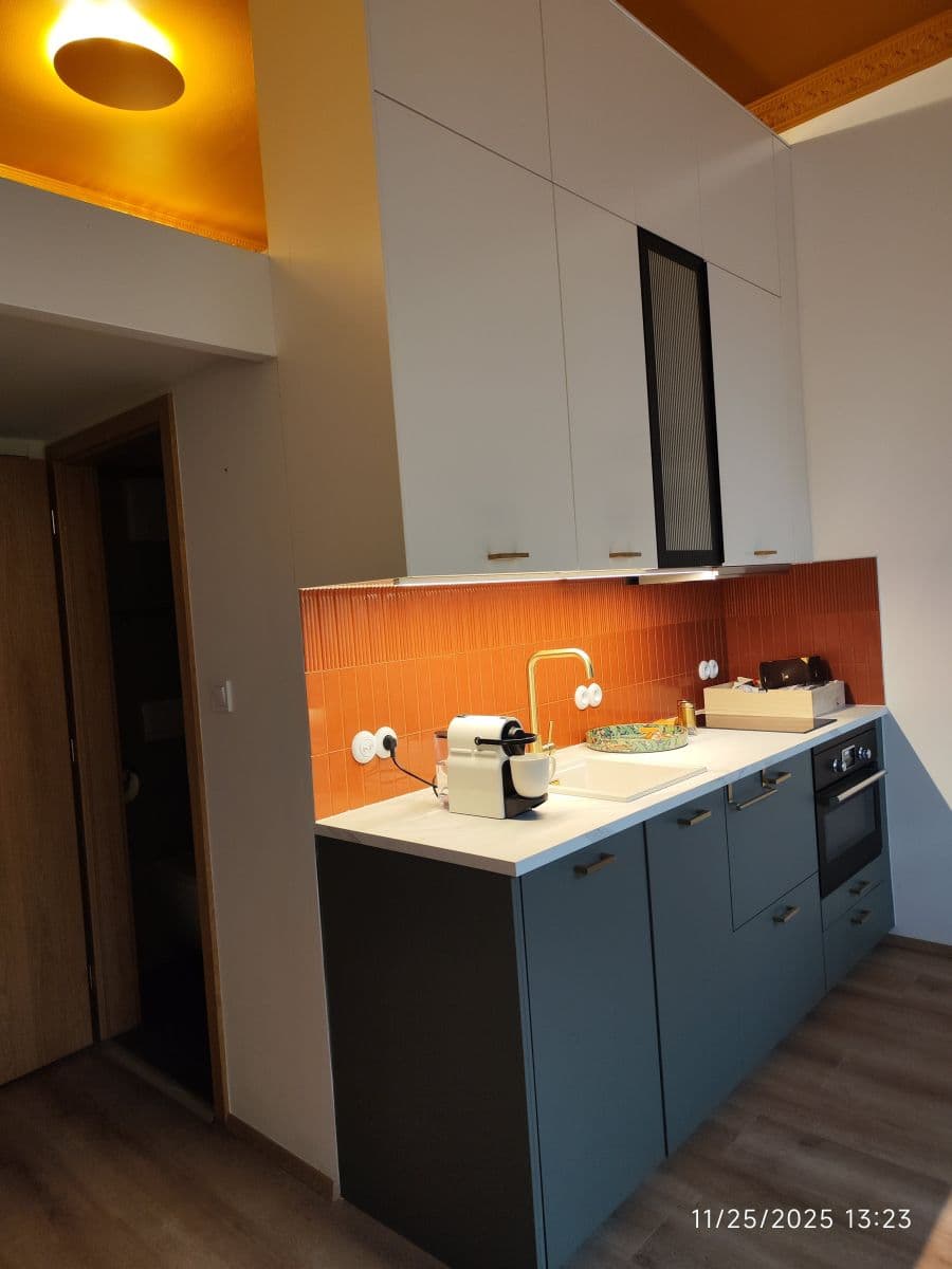 flat to rent, 23 m², Sokolská, Prague, Prague flat to rent, 23 m², Sokolská, Prague, Prague