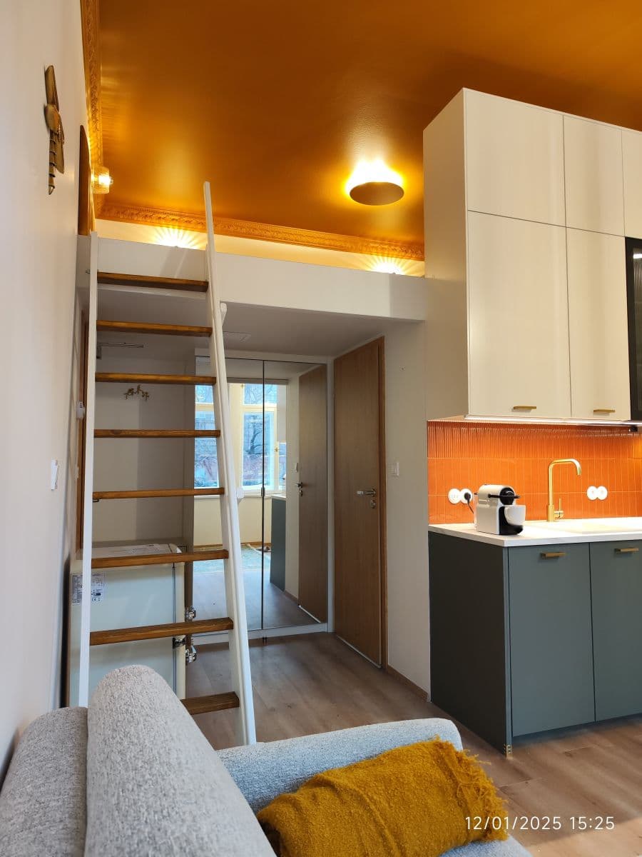 flat to rent, 27 m², Sokolská, Prague, Prague flat to rent, 27 m², Sokolská, Prague, Prague