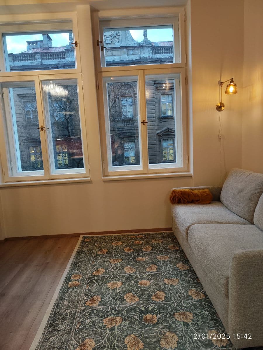 flat to rent, 27 m², Sokolská, Prague, Prague flat to rent, 27 m², Sokolská, Prague, Prague