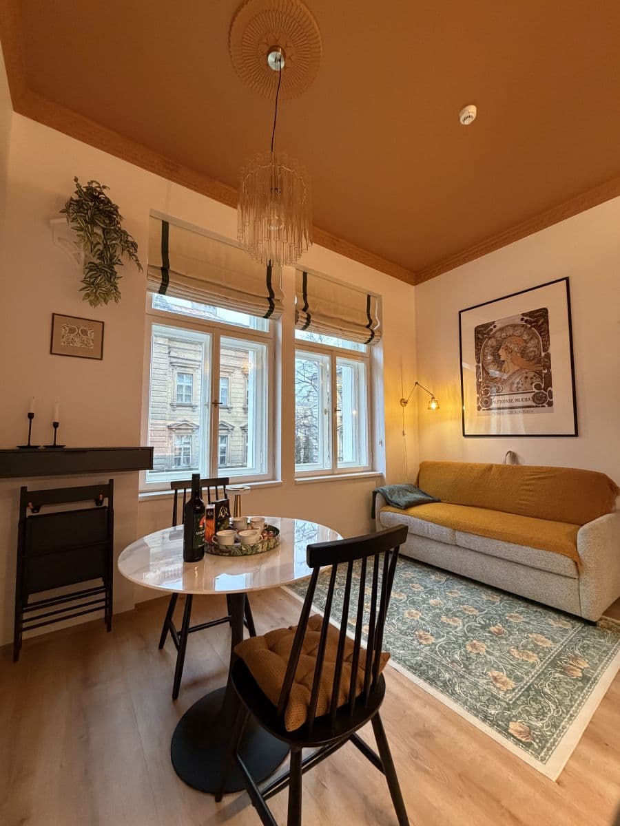 flat to rent, 27 m², Sokolská, Prague, Prague flat to rent, 27 m², Sokolská, Prague, Prague