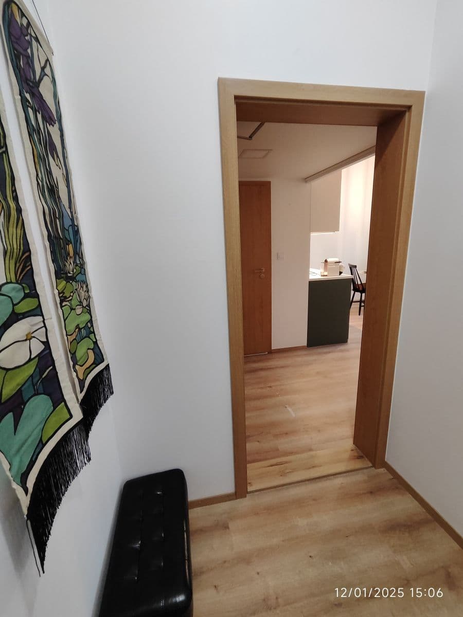 flat to rent, 27 m², Sokolská, Prague, Prague flat to rent, 27 m², Sokolská, Prague, Prague