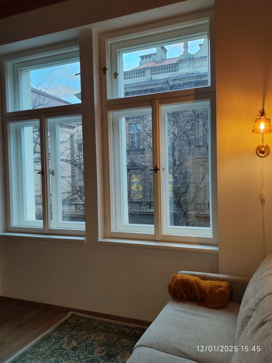flat to rent, 27 m², Sokolská, Prague, Prague flat to rent, 27 m², Sokolská, Prague, Prague